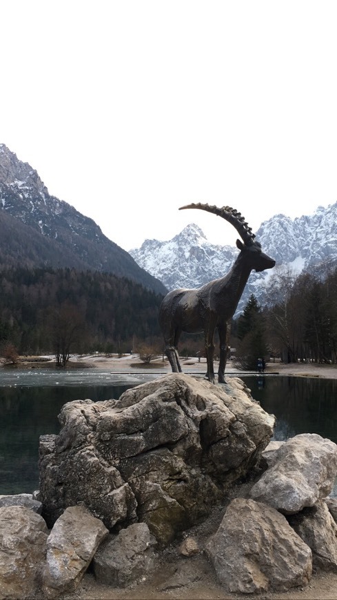 Place Kranjska Gora