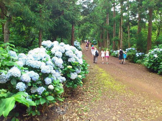 Lugar Caminho do Pinhal da Paz