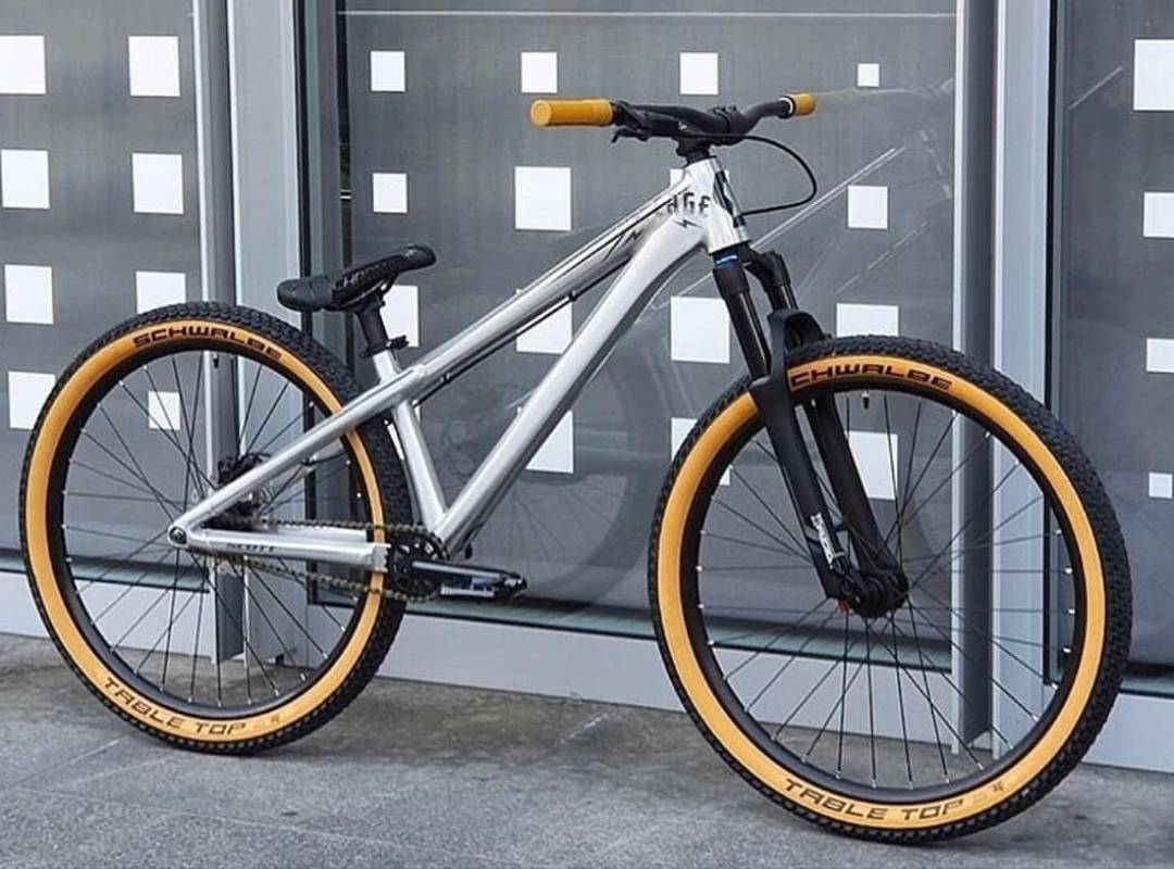 Social Bike 11