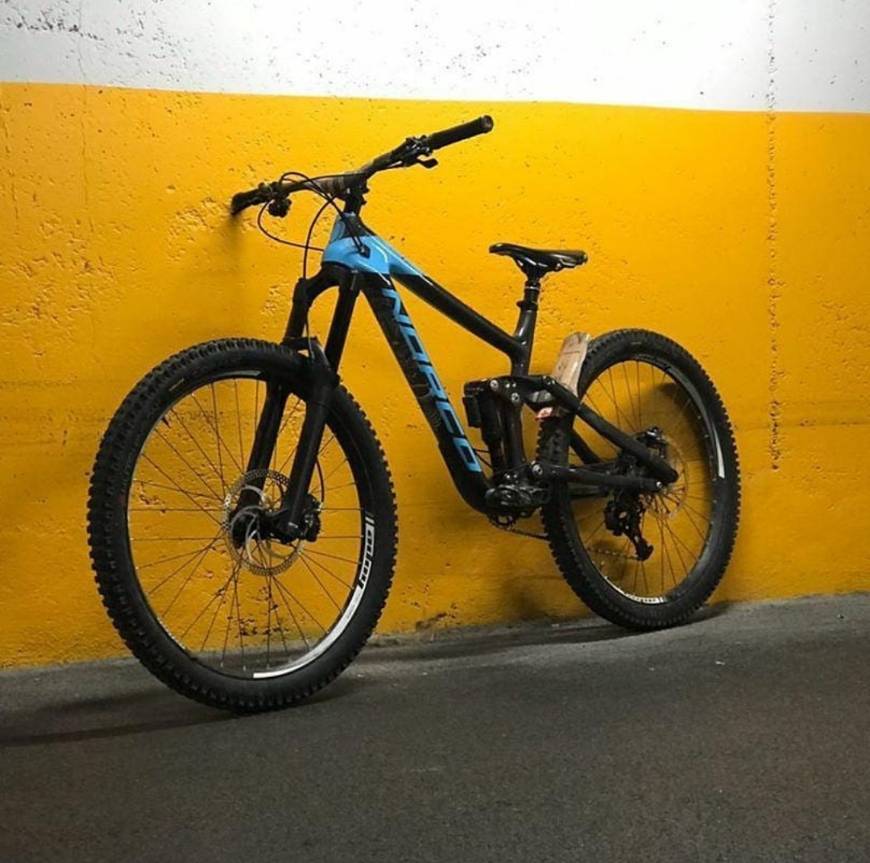 Social Bike 12