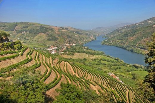 Douro