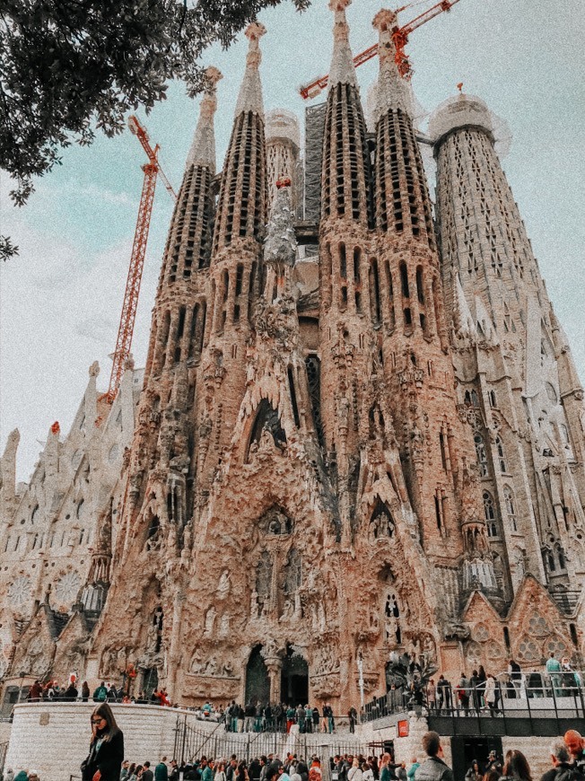 Lugar Basílica Sagrada Familia