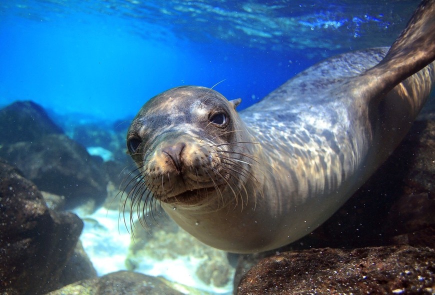 Place Galapagos Islands