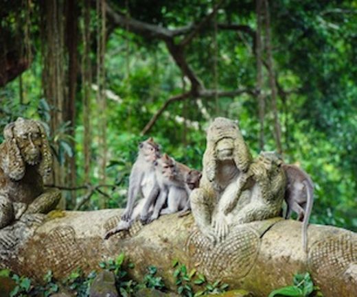 Sacred Monkey Forest Sanctuary