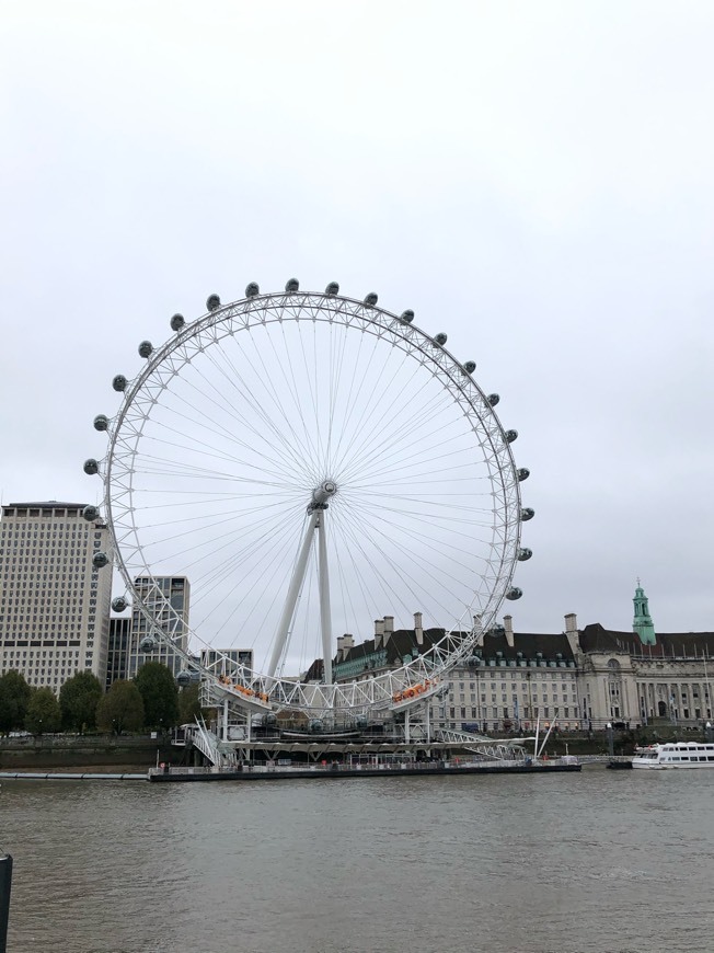 Place London Eye