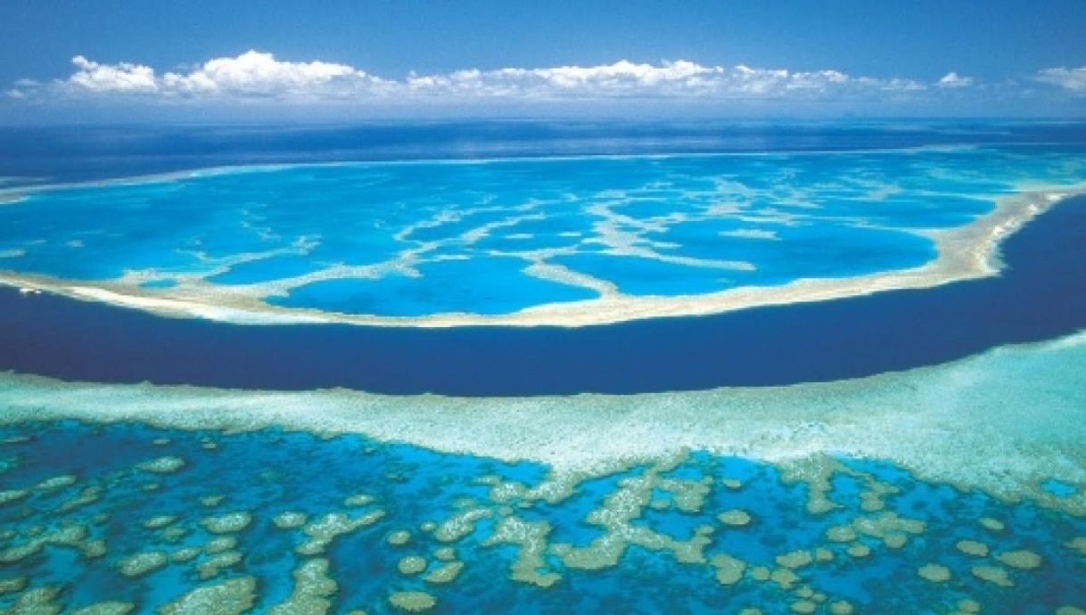 Place Great Barrier Reef