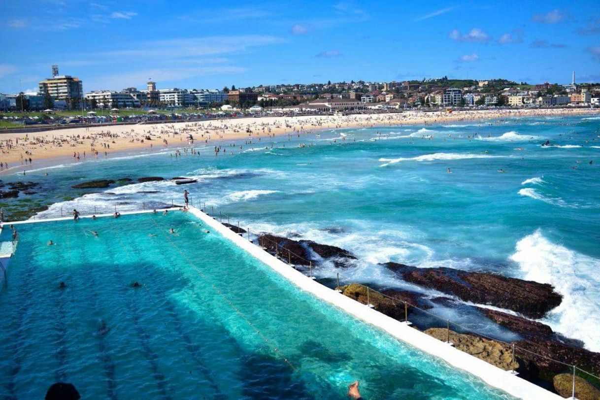 Place Bondi to Coogee Walk