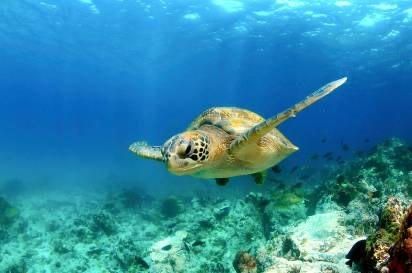 Galapagos Islands