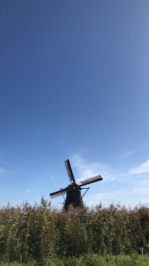 Lugar Kinderdijk