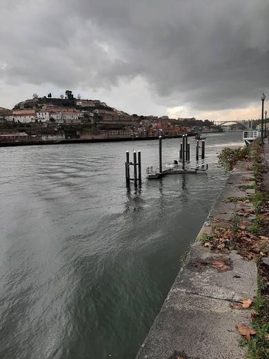 Rio Douro