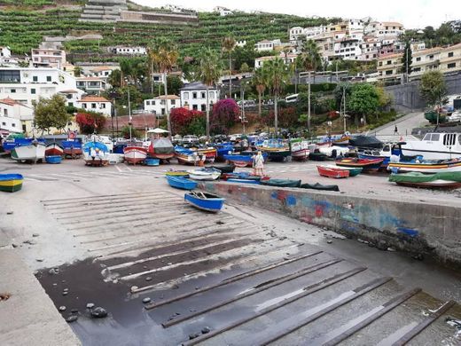 Câmara De Lobos