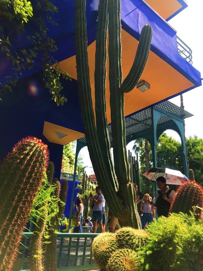 Lugar Jardín Majorelle