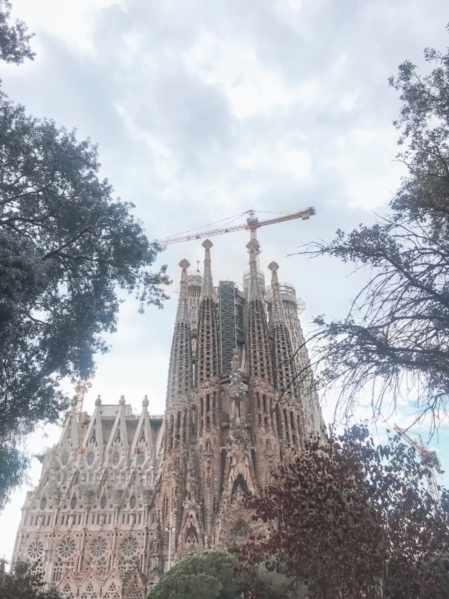 Lugar Basílica Sagrada Familia