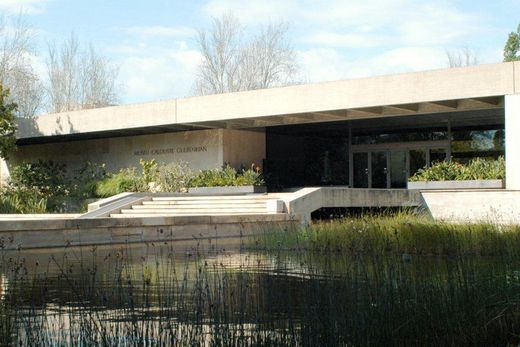 Museu Calouste Gulbenkian - Coleção Moderna