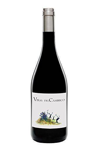 Viñas del Cambrico 100% Rufete 2015-Vino Tinto-Ecológico-0.75l