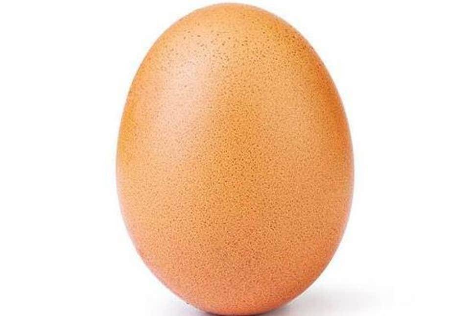 Social Egg Record