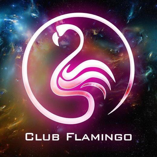 Flamingo club🦩