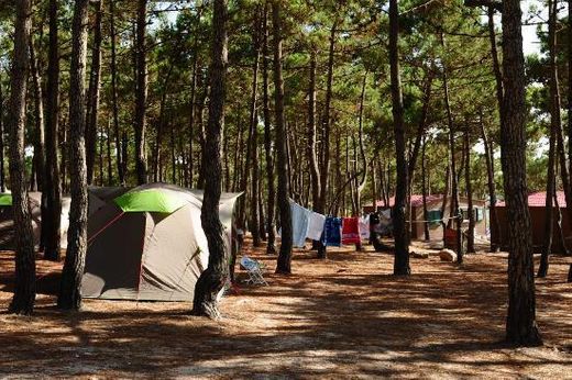 Ericeira Camping