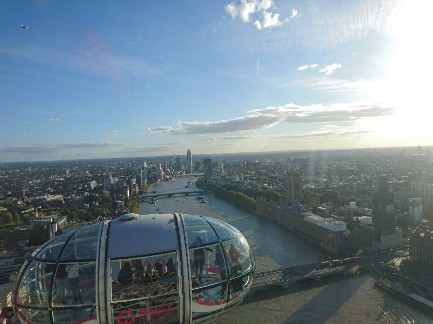 Place London Eye