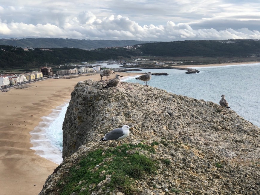 Place Nazaré