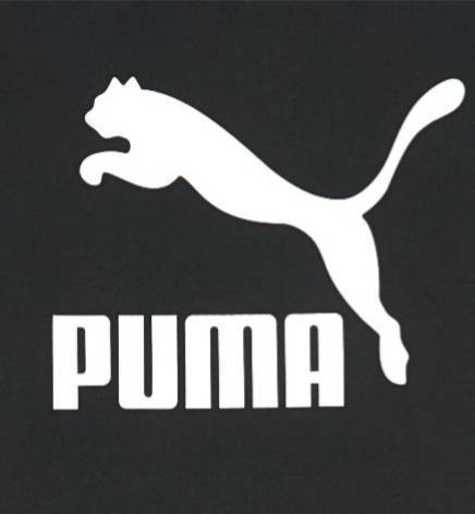 Moda Puma