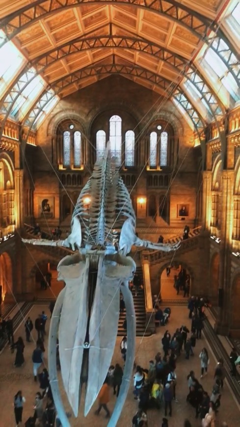 Place Natural History Museum