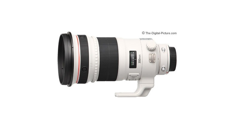 Social Canon EF 300mm f/2.8L IS II USM Lens