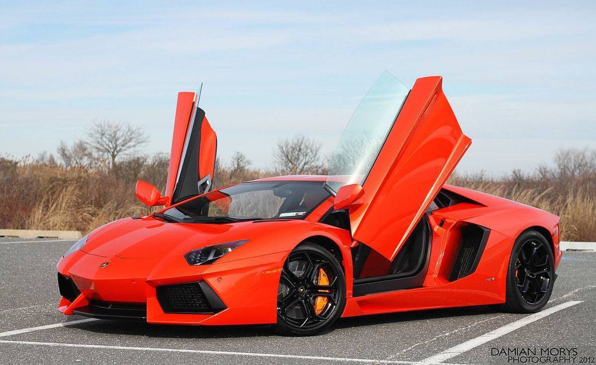 Social Lamborghini Aventador