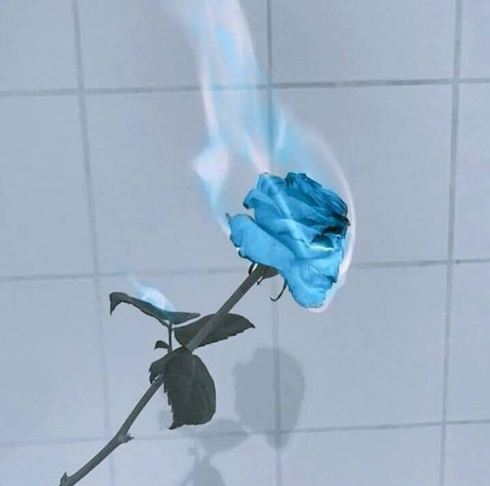 Social 💙🧊 Blue aesthetic 🧊💙