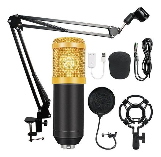 Microfono Condensador Bm800 Brazo Soporte Antipop Estudio Pc ...