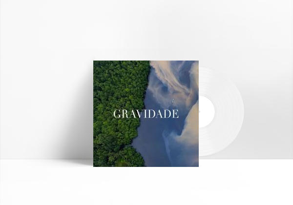 Gravidade