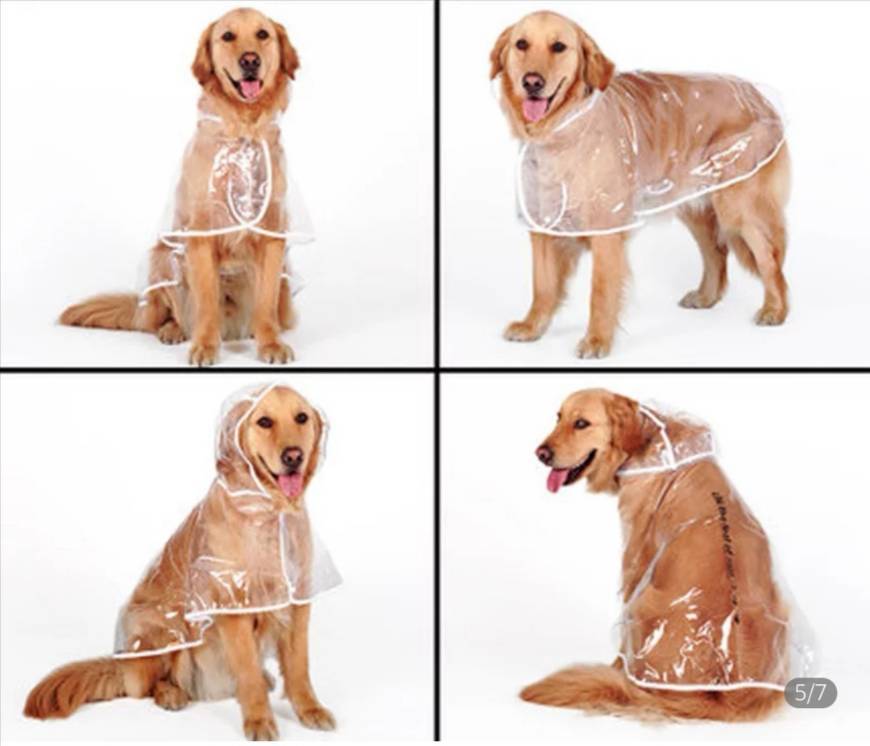 Product capa de chuva para cães