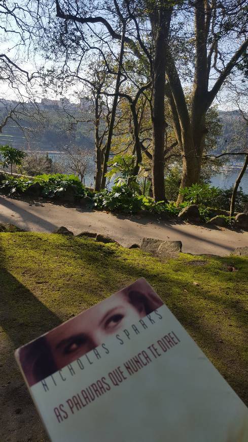 Book As Palavras Que Nunca Te Direi