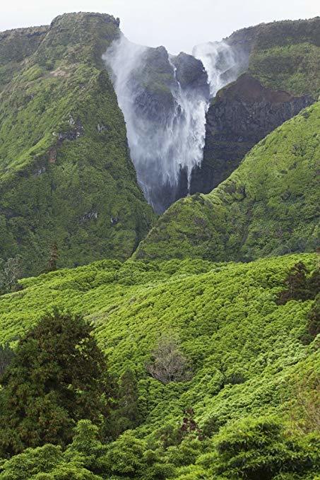 Lugar Ilha das Flores