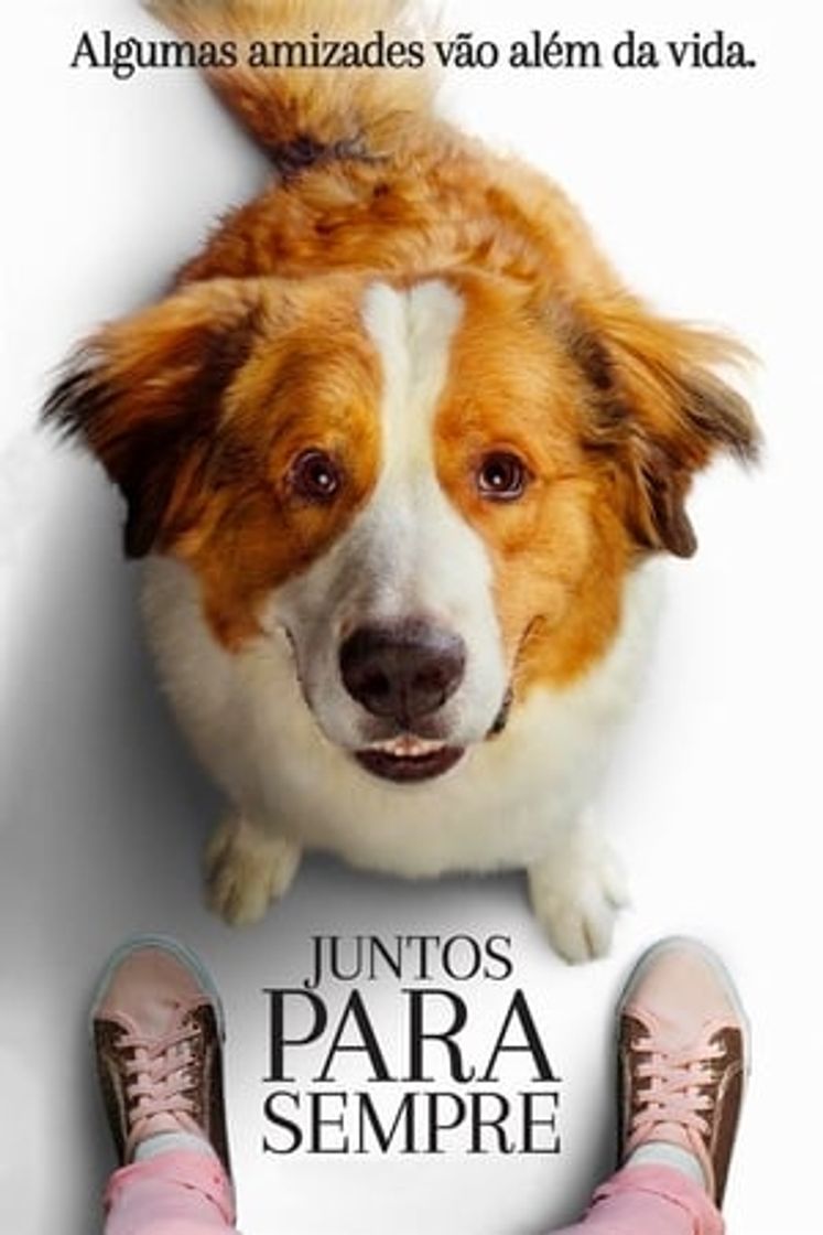 Película Tu mejor amigo: Un nuevo viaje