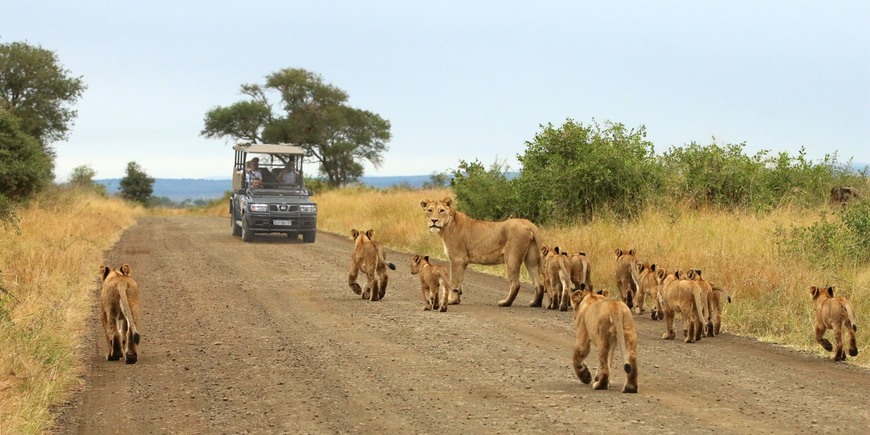 Parque nacional Kruger