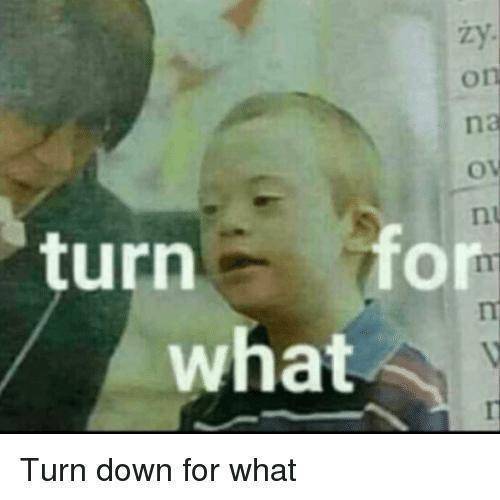 Music Turn Down for What