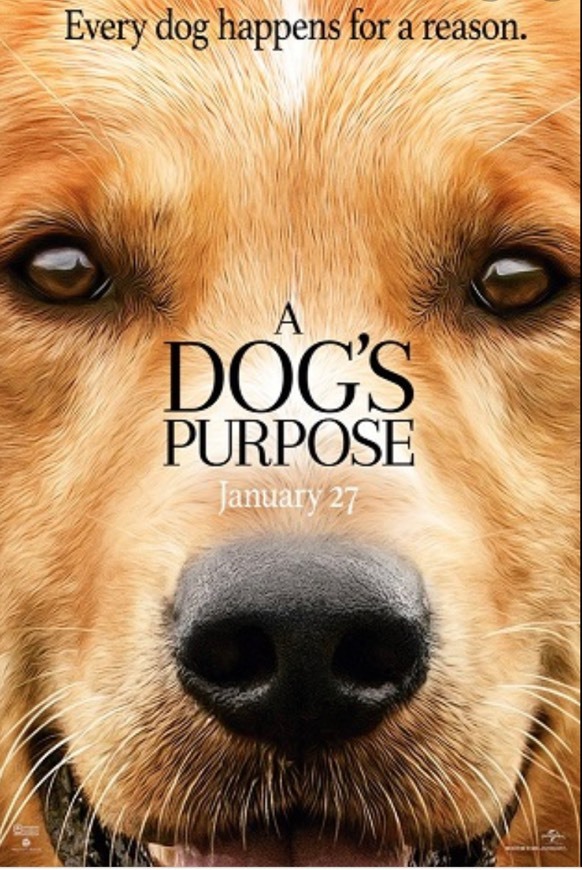 Películas A Dog’s Purpose 