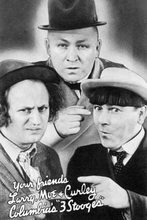 The Three Stooges