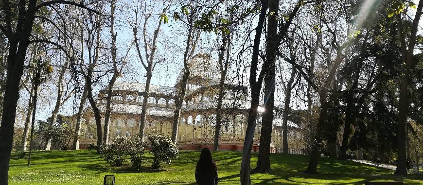 Lugar Palacio de Cristal