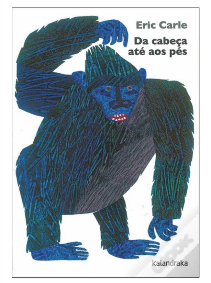 Book Da Cabeça aos Pés 