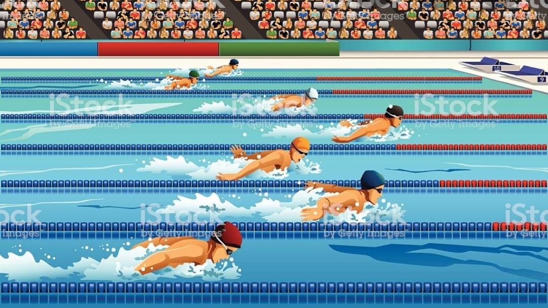 Social Natação de competição🏆🌊