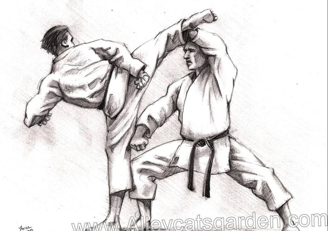 Social Karaté🥋👊