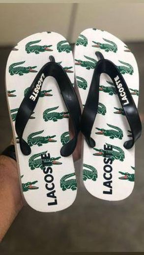Chinelo lacoste 
