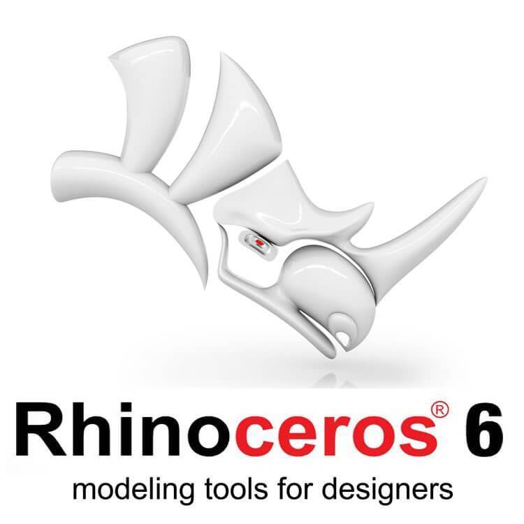 Fashion Rhinoceros 6