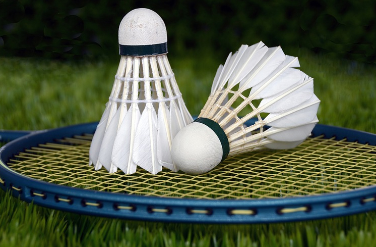 Social Badminton 
