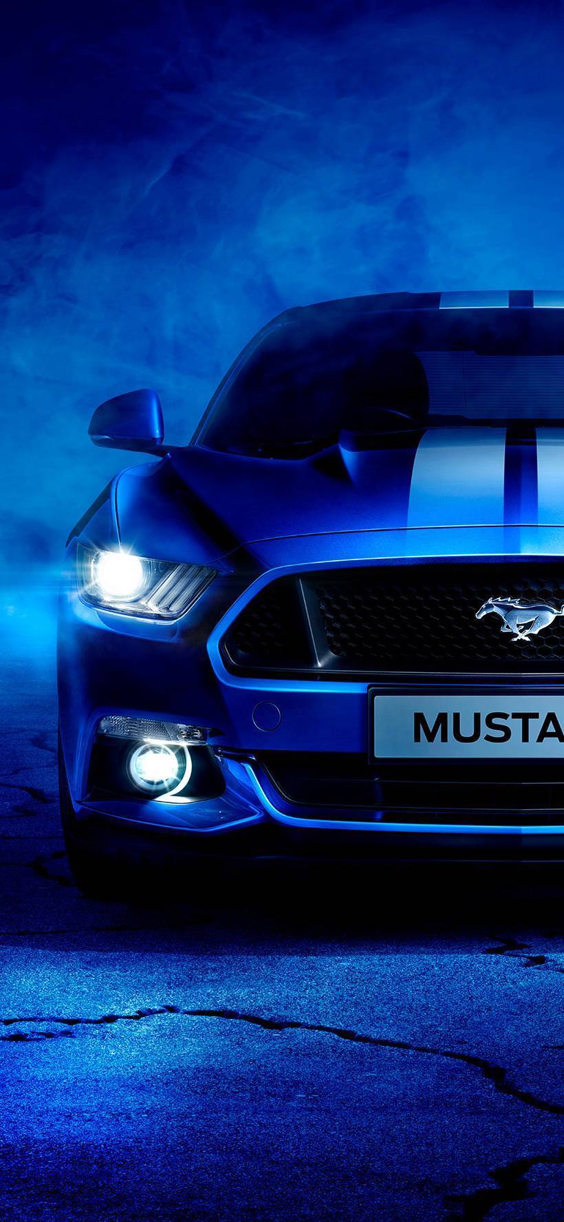 Ford Mustang Owners Community