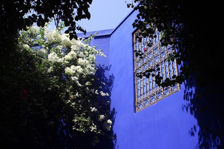 Place Jardín Majorelle