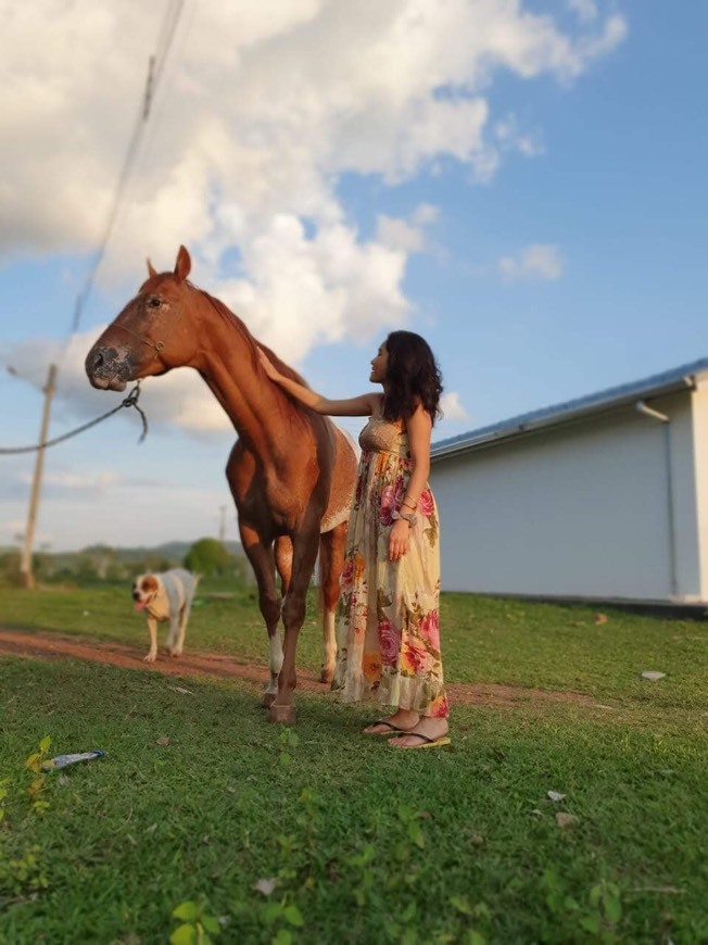 Lugar Rondônia