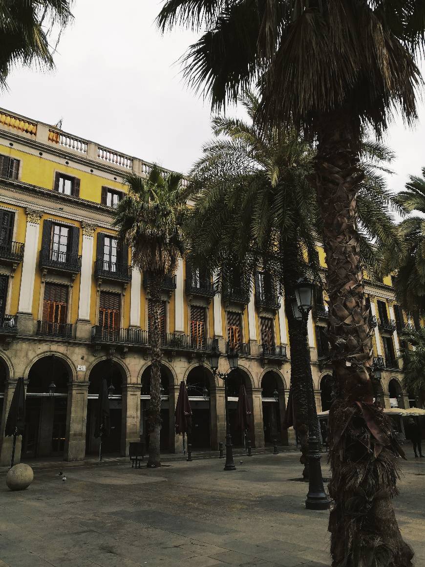 Place Plaça Reial